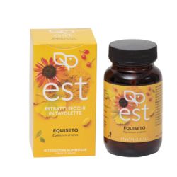 Equiseto es 60tav