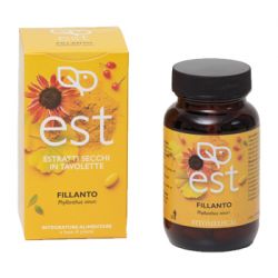 Fillanto es 60tav