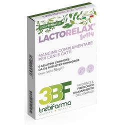 Lactorelax jelly 6 jelly