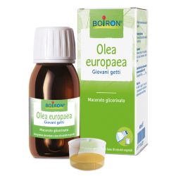 Olea europaea boiron macerato glicerico 60 ml