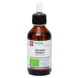 Ontano bianco bio mg 100ml