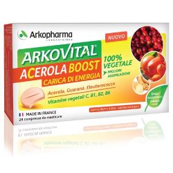 Arkovital acerola boost 24cpr