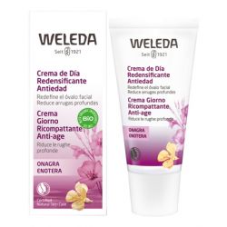 Crema giorno enotera 30ml