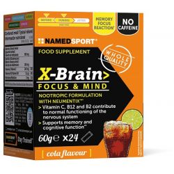 X-brain 24 stick