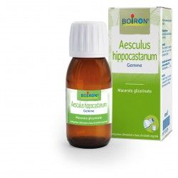 RIBES NIGRUM GEMME 60ML MG