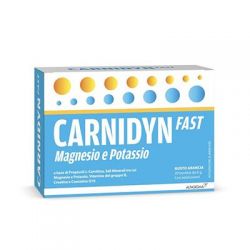 CARNIDYN FAST MAGNESIO/POTASSIO 20 BUSTINE