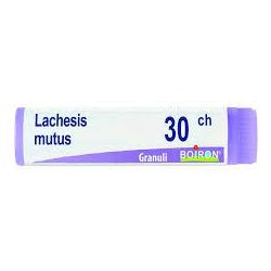 Lachesis mutus 30ch gl bo
