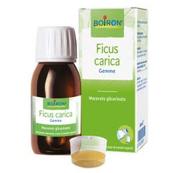 FICUS CARICA MG 60ML INT