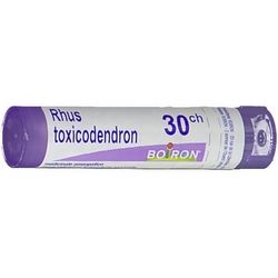 RHUS TOXICODENDRON*30CH 80GR4G