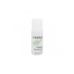 CAUDALIE VINOCLEAN SCH DET50ML