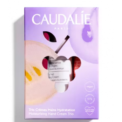 Trio crema mani cofanetto 2023 2 creme mains vinotherapist 30 ml + 2 creme mains the' des vignes 30