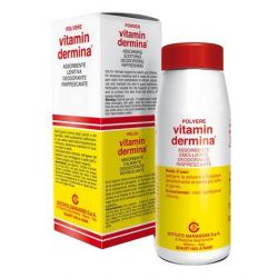 VITAMINDERMINA POLVERE 100 G